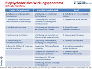 life coaching, suchtberatung, psychologische Beratung, tiergstützte Therapie schwerin